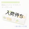 岡山シャインマスカットチーズケーキ 20箱セット