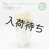 画像: 岡山マスカットポップコーン10個セット